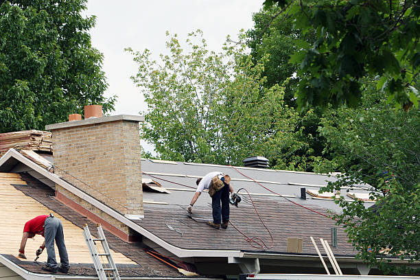 Best Roof Gutter Cleaning  in Skokie, IL